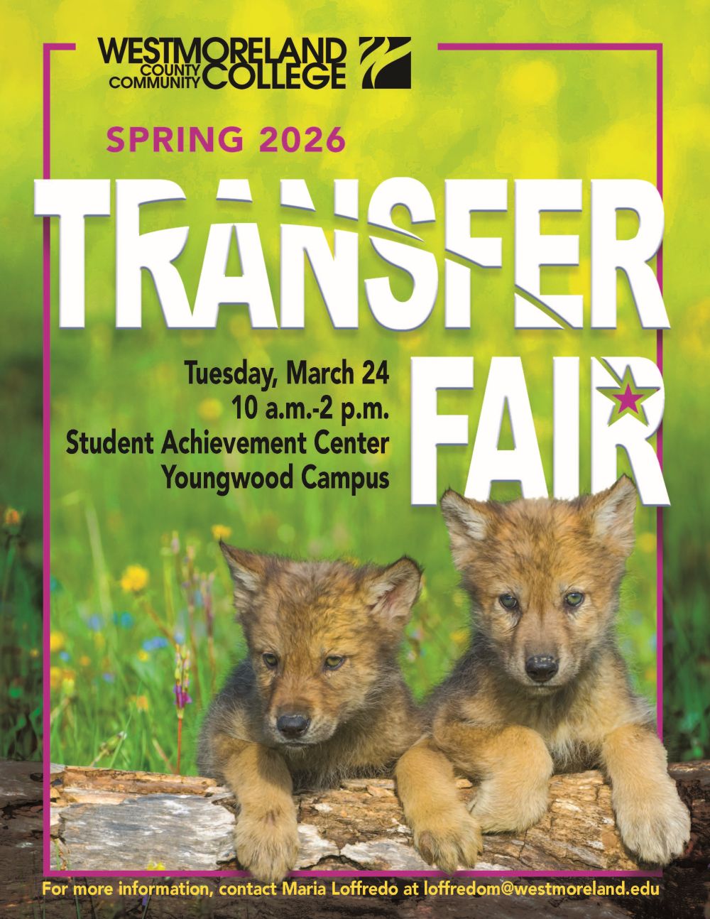Spring Transfer Fair
